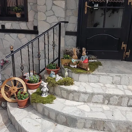 St. George Pobedonosets 3* בנסקו