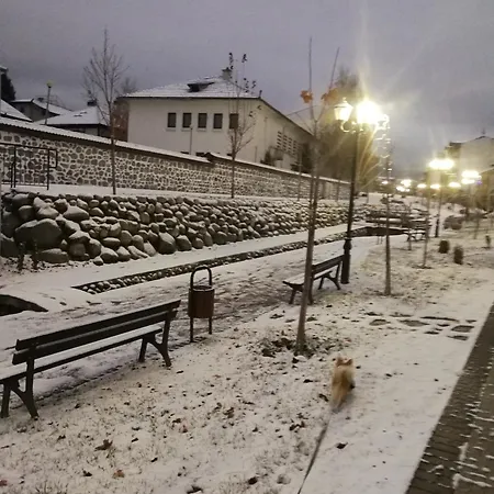 St. George Pobedonosets 班斯科